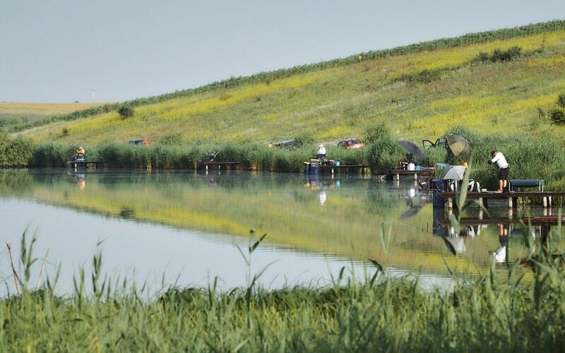 Despre succesul în pescuitul de competiție - Jan Van Schendel 2