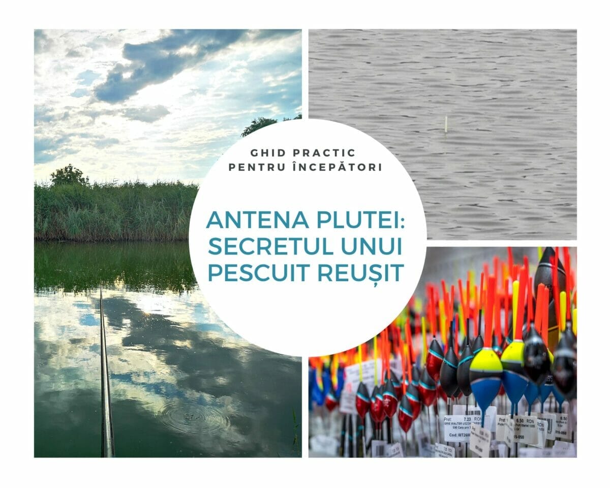 Alegerea antenei plutei - imagine reprezentativa articol
